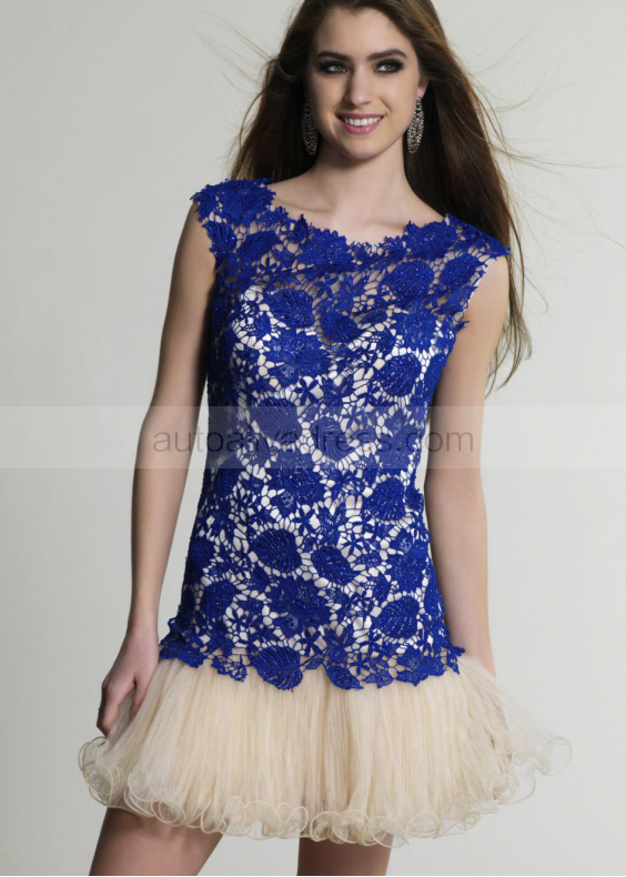 Sheath Jewel Neckline Lace Tulle Hole Back Knee Length Prom Dress Sheath Jewel Neckline Lace Tulle Hole Back Knee Length Prom Dress